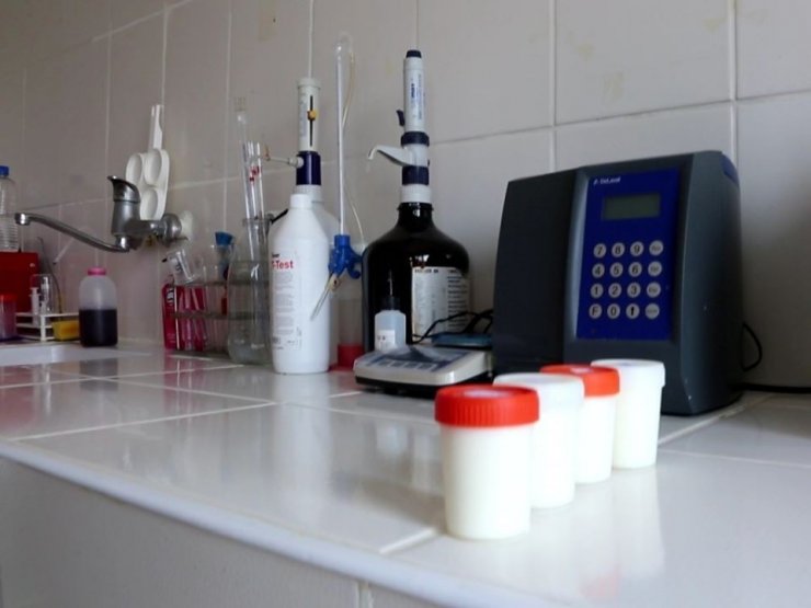 Amasya’da mart ayında günlük 67 ton çiğ süt toplandı