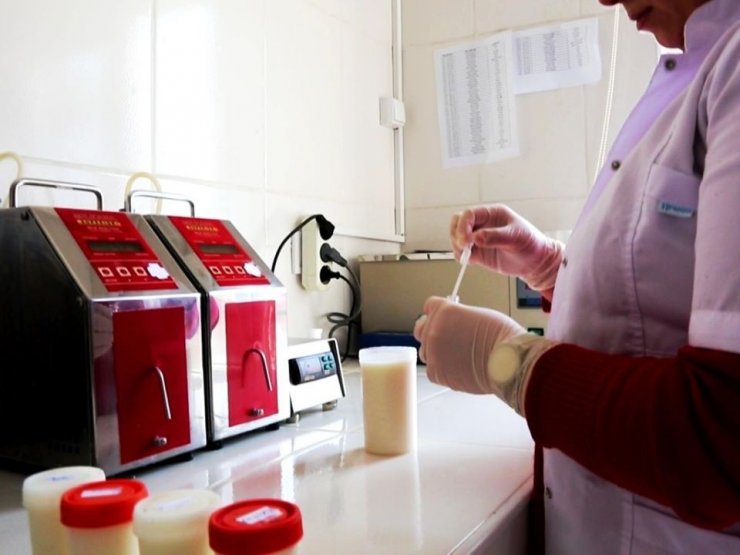 Amasya’da mart ayında günlük 67 ton çiğ süt toplandı