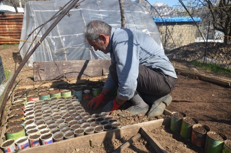 Şırnak’ta organik sebze tohumları toprakla buluştu