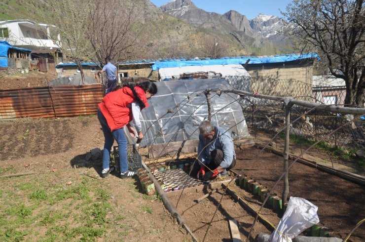 Şırnak’ta organik sebze tohumları toprakla buluştu