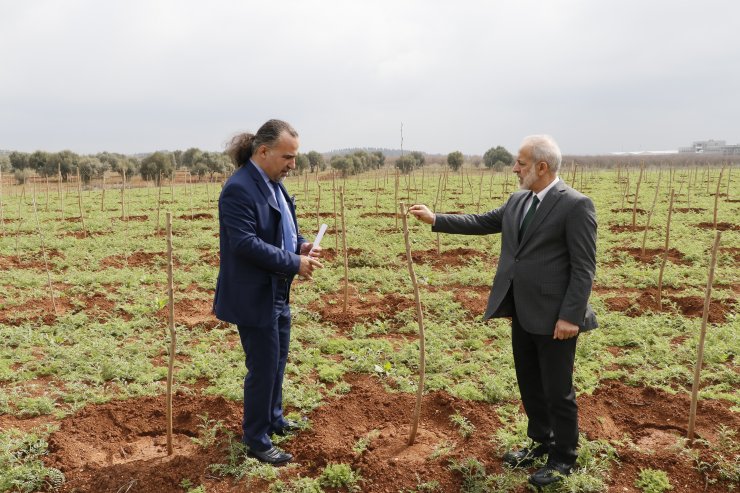 Üniversitenin ipek böcekçiliği projesi öğrencilere burs kazandıracak