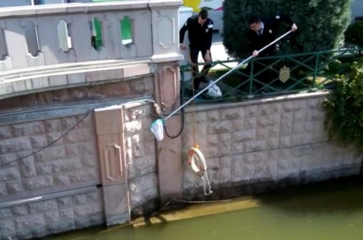 Suya düşen kediyi güvenlik görevlileri kurtardı