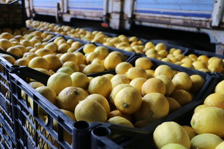 Sebze ve meyveye ihracat engeli fiyatları düşürüyor