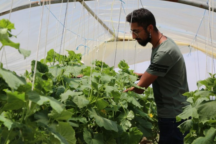 Tunceli'de Topraksız Tarımla Ürün Yetiştirdi