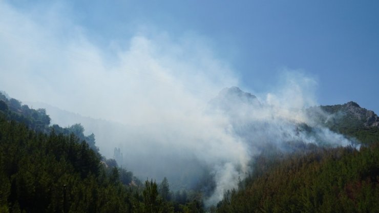 Antalya’da 3 hektar orman kül oldu