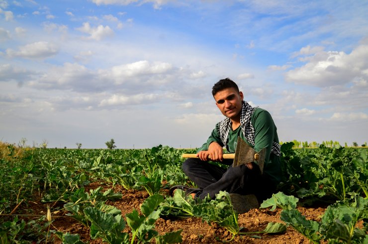 Konya'da tarım işçisi, İstanbul'da tiyatrocu
