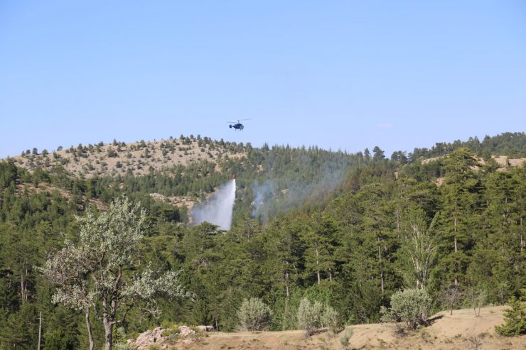 Taşkent'te orman yangını! 1 buçuk hektarlık alan zarar gördü
