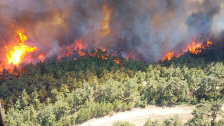 Çanakkale'de orman yangını rüzgar nedeniyle kontrol edilemiyor