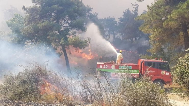 Çanakkale'de orman yangını rüzgar nedeniyle kontrol edilemiyor