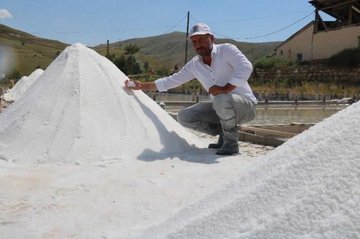Sivas'ta doğal kaynak tuzu hasadı başladı