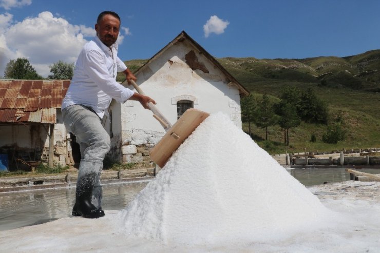 Sivas'ta doğal kaynak tuzu hasadı başladı