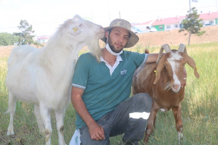 Sivas'ta çobanlık yapan yapan şahıs arkadaşının gasbına uğradı