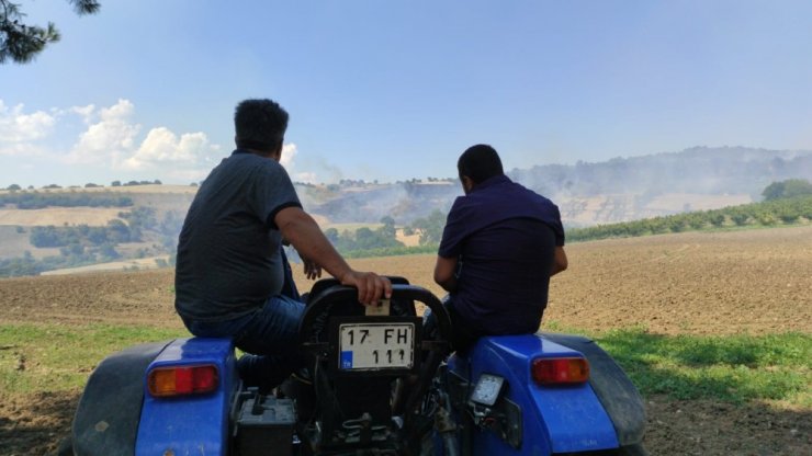 Çanakkale'de Anız yangını ormanlara sıçradı