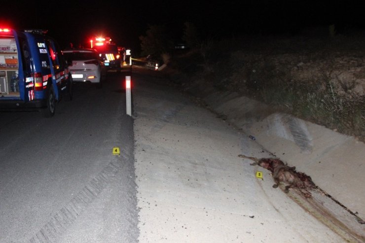 Konya - Karaman yolunda koyuna çarpan otomobil takla attı! Sürücü öldü