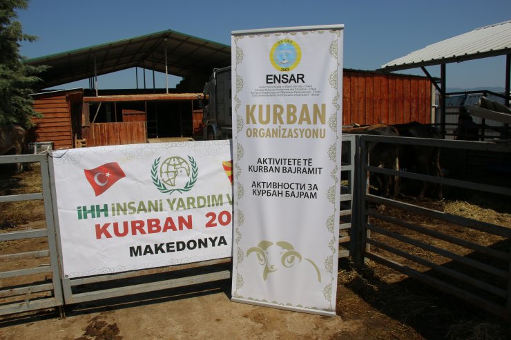 Türk vakıfları Üsküp'te kurban kesiyor