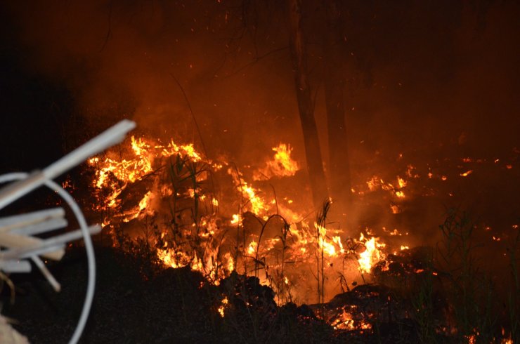 Türkiye yangın yerine döndü! Antalya'da ise facianın eşiğinden dönüldü