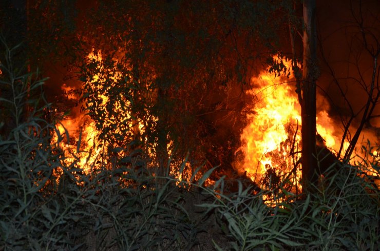 Türkiye yangın yerine döndü! Antalya'da ise facianın eşiğinden dönüldü