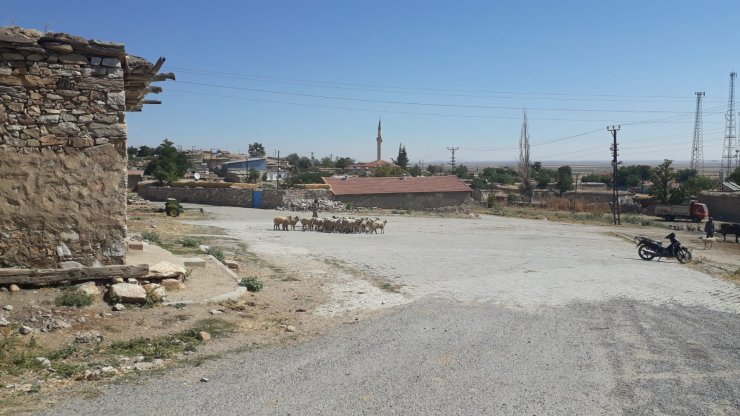 Konya'da kaybolan 60 hayvanı AFAD buldu