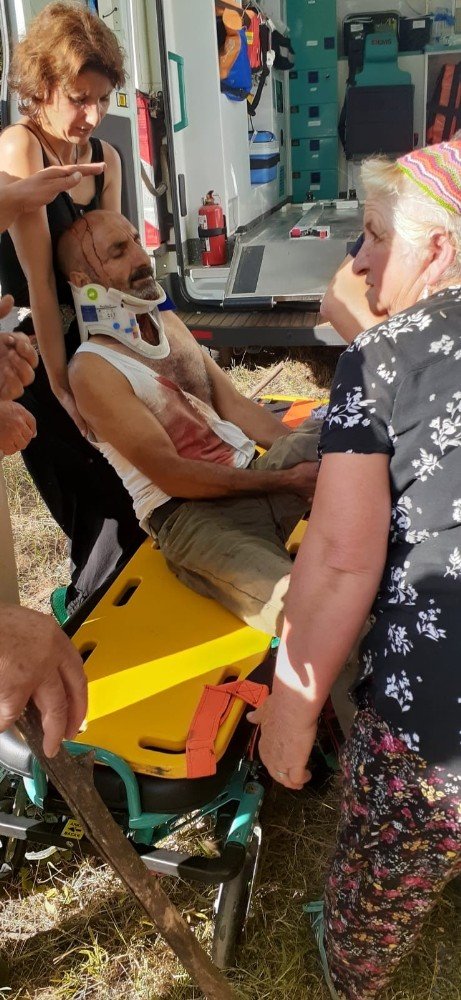 Ayının saldırısına uğrayan adam yaralandı