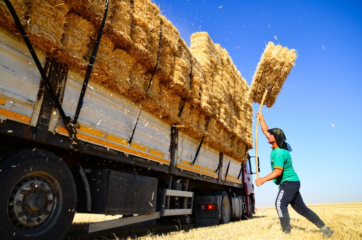 Konya Ovası'nda balya mesaisi