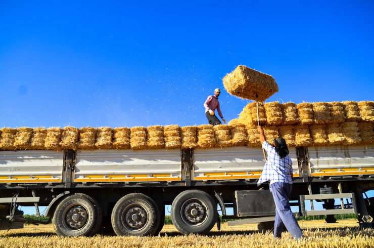 Konya Ovası'nda balya mesaisi