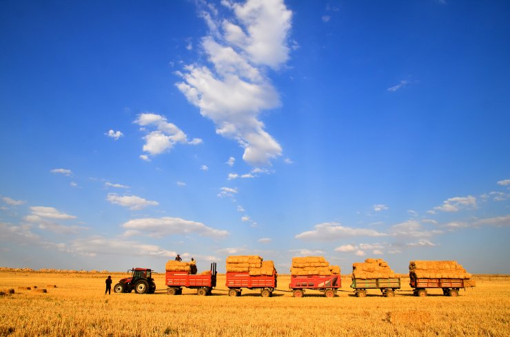 Konya Ovası'nda balya mesaisi