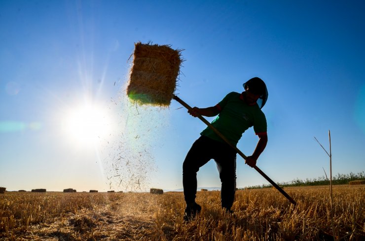 Konya Ovası'nda balya mesaisi