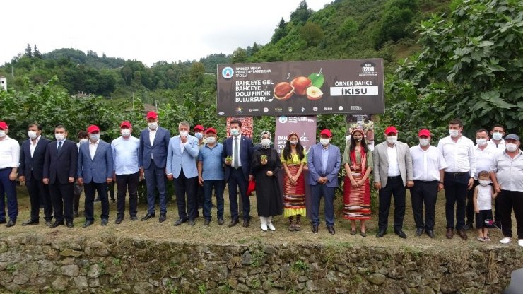 Trabzon’da fındık hasadı başladı