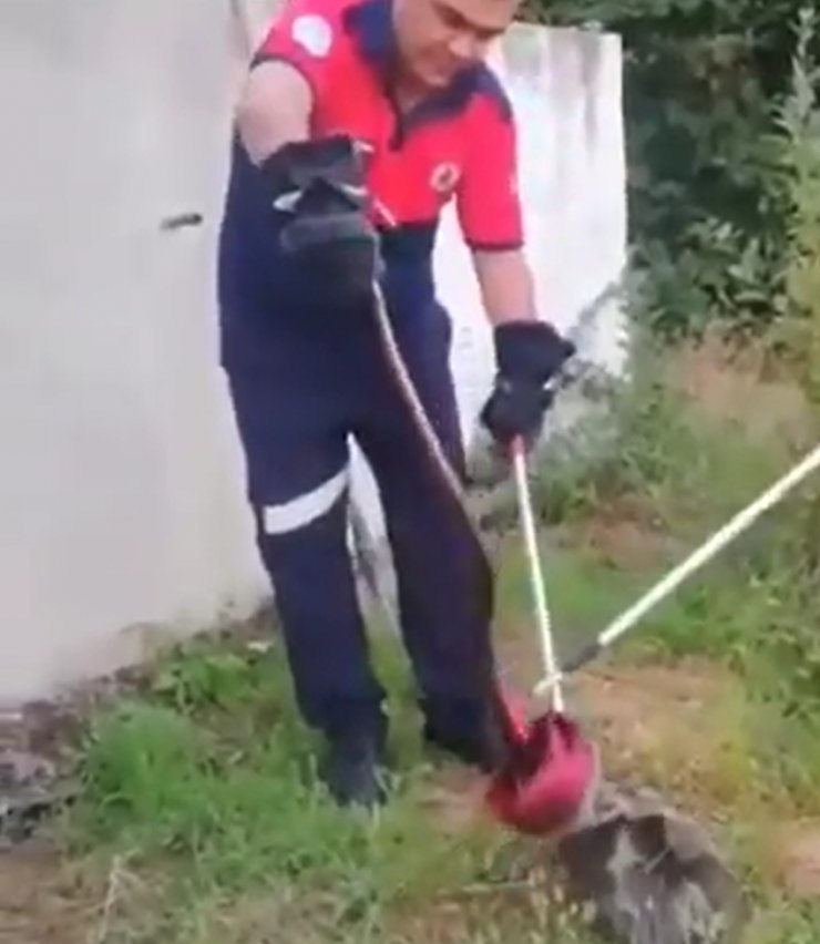 Evin bahçesindeki yılan paniği! İtfaiye yetişti