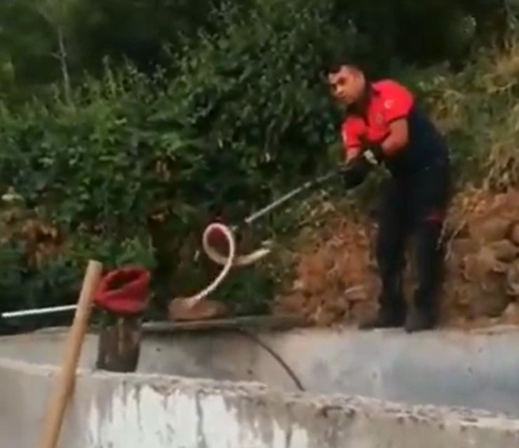 Evin bahçesindeki yılan paniği! İtfaiye yetişti