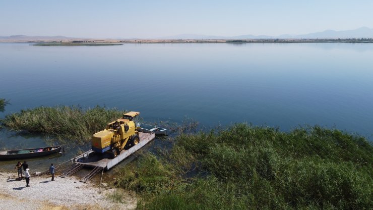 Tarımın Konyalı Fatihleri! Biçerdöveri su üstünde karşıya geçirdiler