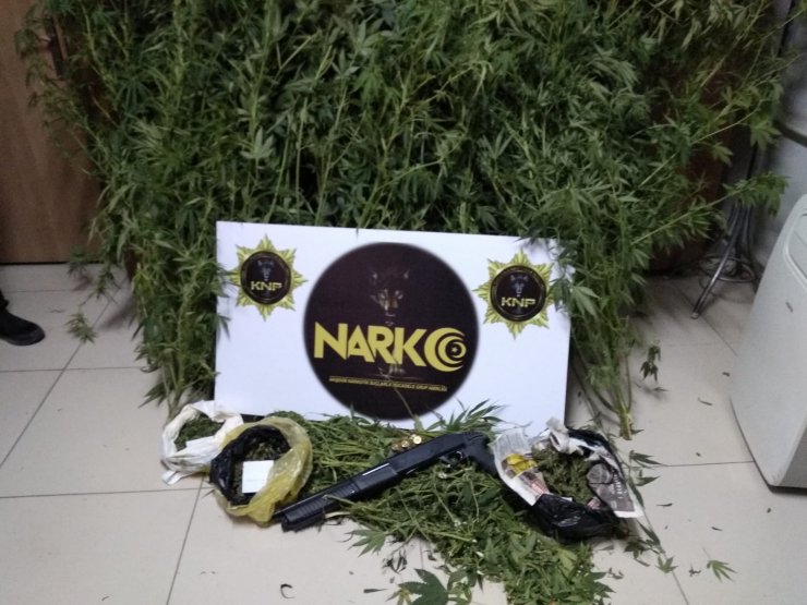 Konya Akşehir'de uyuşturucu operasyonları hız kesmiyor