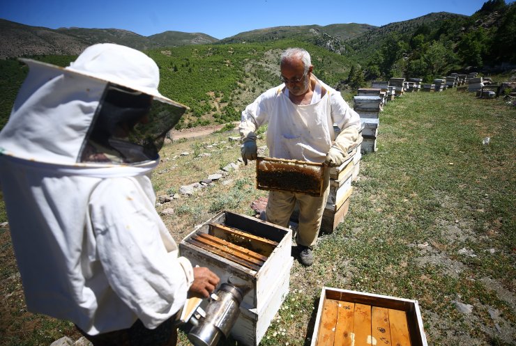 Konya Bozkırlı aile 40 yıldır aşkla arıcılık yapıyor