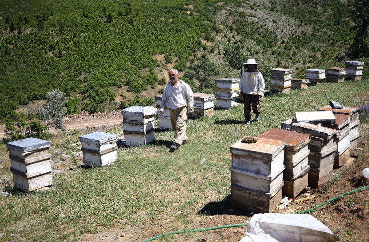 Konya Bozkırlı aile 40 yıldır aşkla arıcılık yapıyor