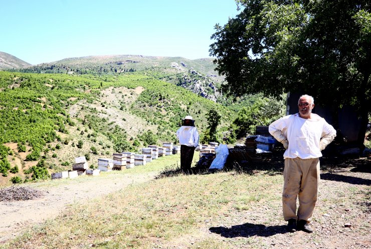 Konya Bozkırlı aile 40 yıldır aşkla arıcılık yapıyor