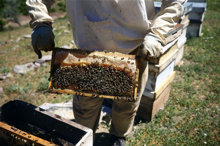 Konya Bozkırlı aile 40 yıldır aşkla arıcılık yapıyor