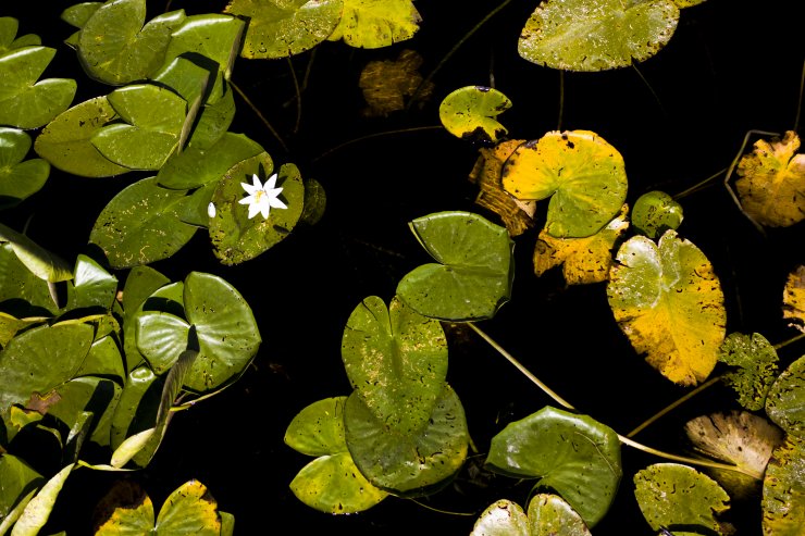 Konya'da bu haftasonu gezilebilecek ve görülesi bir yer daha kendini gösterdi