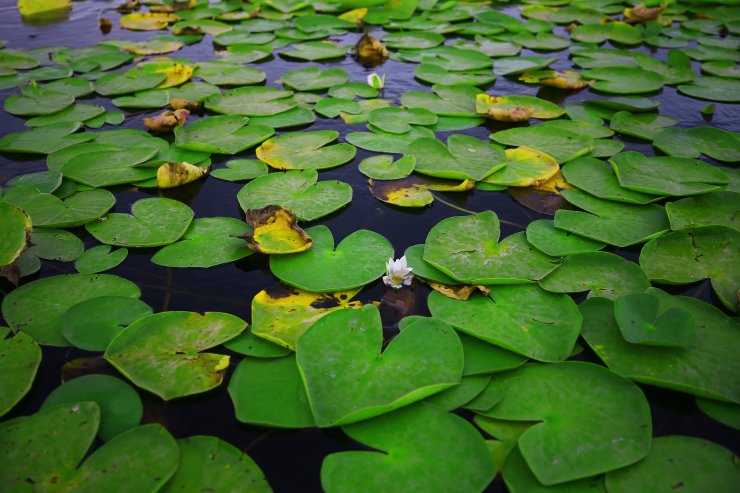 Konya'da bu haftasonu gezilebilecek ve görülesi bir yer daha kendini gösterdi