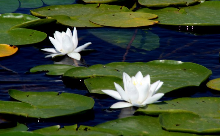 Konya'da bu haftasonu gezilebilecek ve görülesi bir yer daha kendini gösterdi
