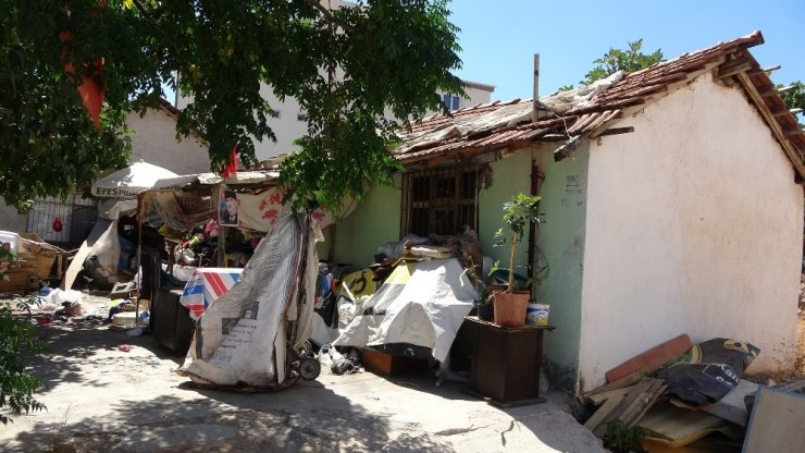 Sokak köpeğini evine alıp uygunsuz hareketlerde bulunan 71 yaşındaki adam gözaltına alındı