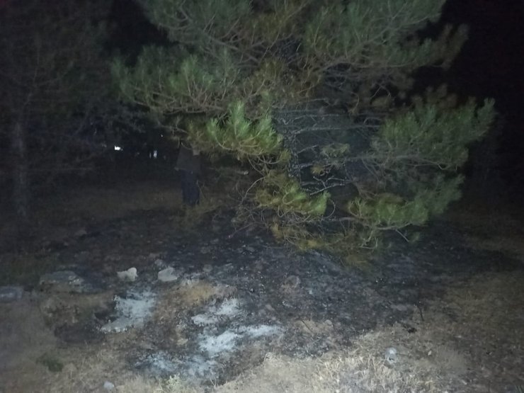 Seydişehir’de Kuğulu Park ormanında yangın paniği