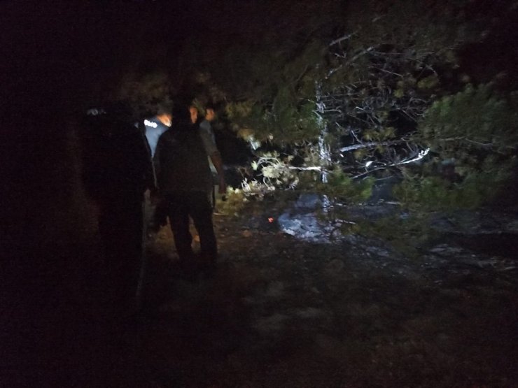 Seydişehir’de Kuğulu Park ormanında yangın paniği