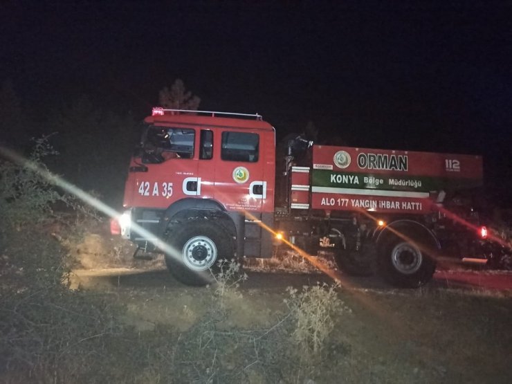 Seydişehir’de Kuğulu Park ormanında yangın paniği