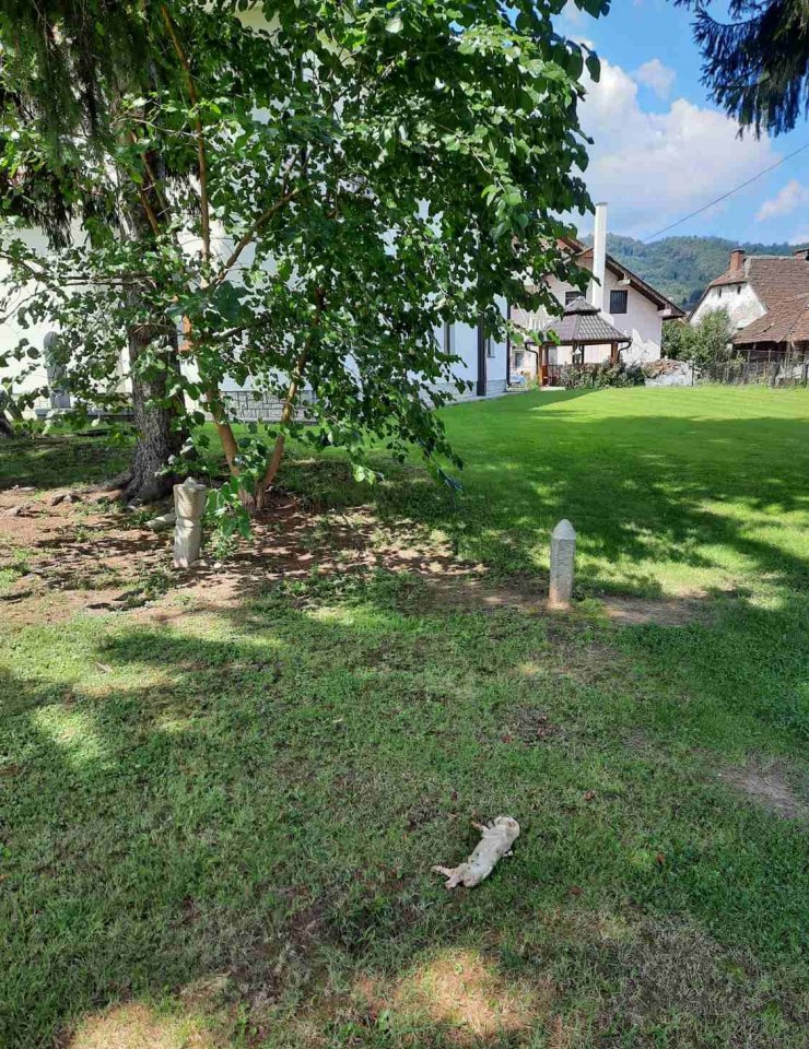 Domuz beslemenin yasak olduğu Bosna Hersek'te cami avlusuna domuz leşi bırakıldı