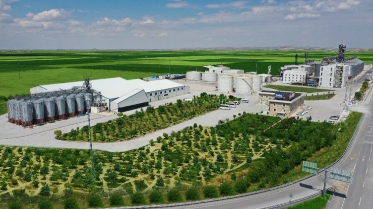 Konya Şeker ayçiçeği alımına enflasyonun iki katı fiyat artışıyla başladı