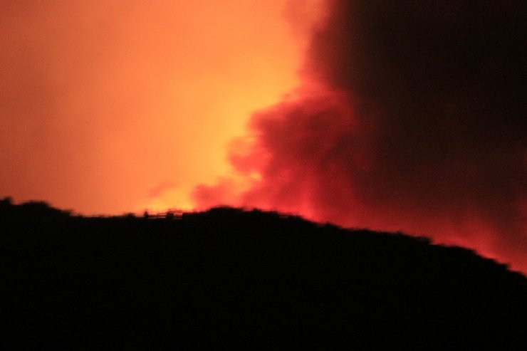 Kozan’da can pazarı! Rüzgarın etkisiyle büyüyen yangından kaçıyorlar