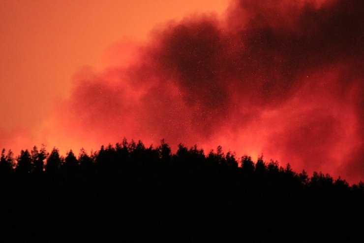 Kozan’da can pazarı! Rüzgarın etkisiyle büyüyen yangından kaçıyorlar