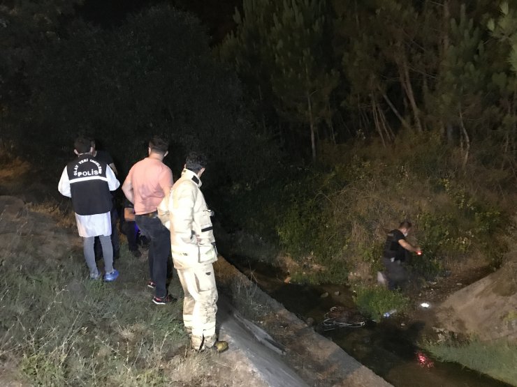 Aydos Ormanında yangına müdahale eden itfaiyeye ateş açıldı