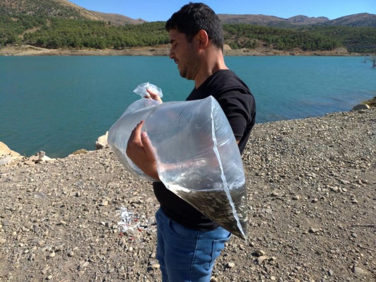 Konya Bozkır'ın Çağlayan Göleti'ne bu yıl da 5 bin yavru sazan salındı