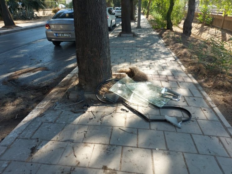 Ağaca çarpan otomobilin sürücüsü olay yerinde can verdi